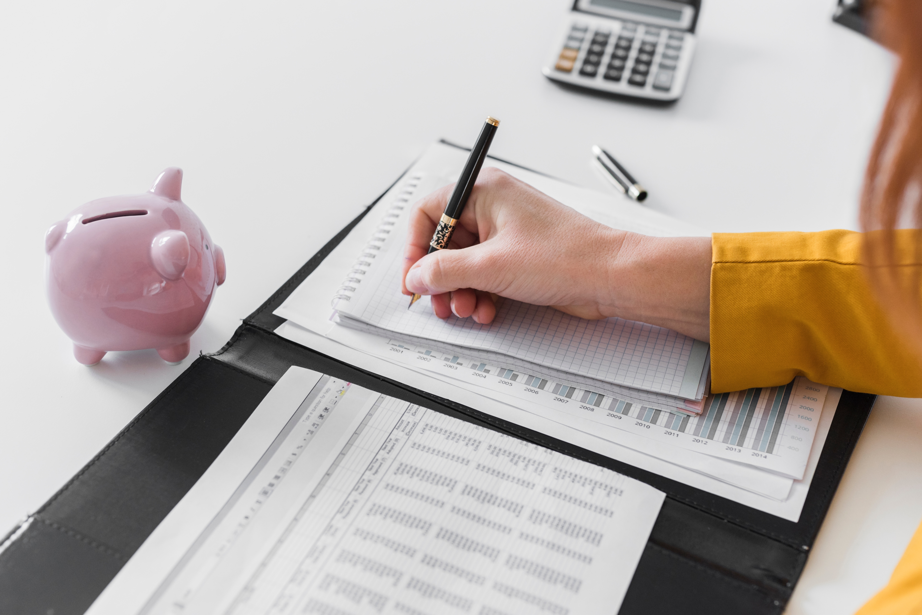 Controle financeiro para comprar o seu Renault